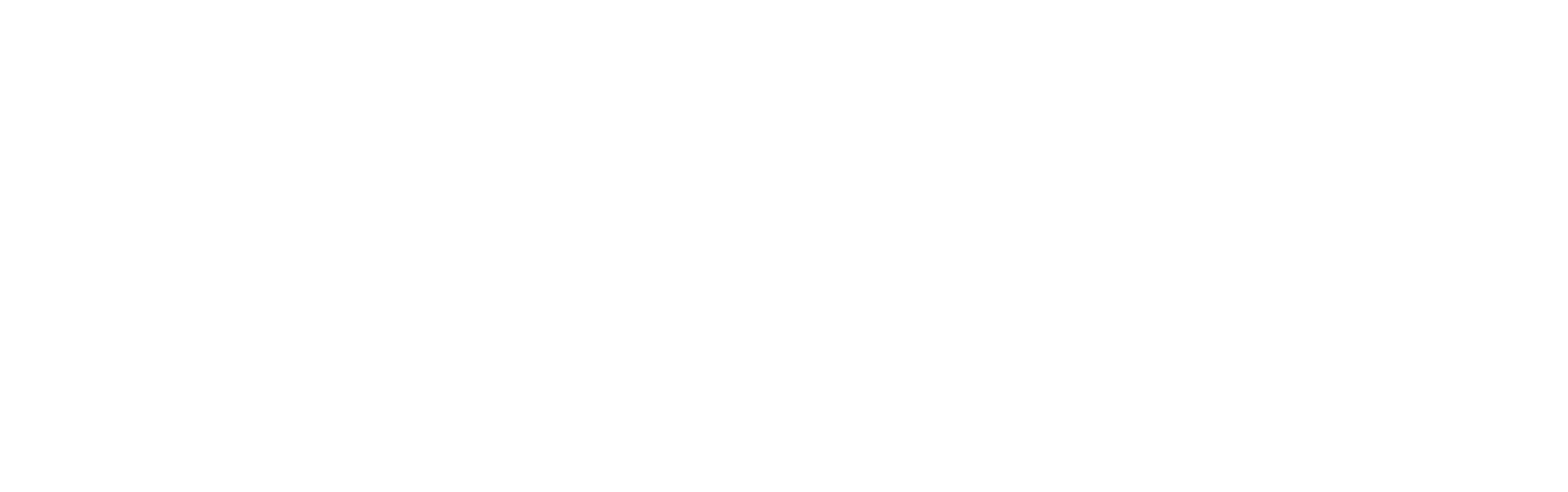 NetSeen logo